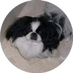 Profile photo of CooperBean Glenn