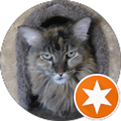 Profile photo of Janice Turner