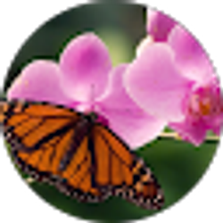 Profile photo of Kenya