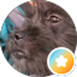 Profile photo of Zu Gonzalez