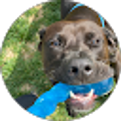 Profile photo of Jacqueline Carlson