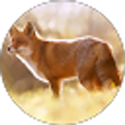 Profile photo of Lydia Musselman