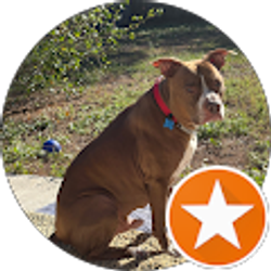 Profile photo of Jackie Ross