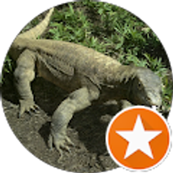 Profile photo of Jessica Pesantez