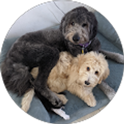 Profile photo of bob heidemann