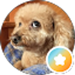 Profile photo of Tamar H