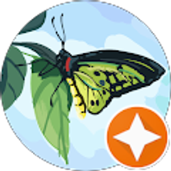 Profile photo of Monroe county Friend