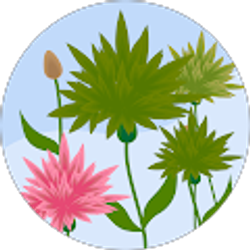 Profile photo of Barb Baney