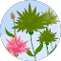 Profile photo of Barb Baney