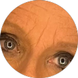 Profile photo of Sandy Shedd