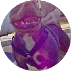 Profile photo of Cornelio Orozco