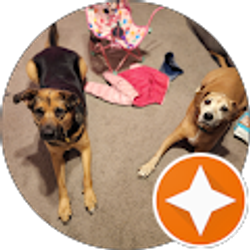 Profile photo of Greg Prutzman