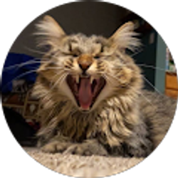 Profile photo of Jay P