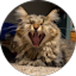 Profile photo of Jay P