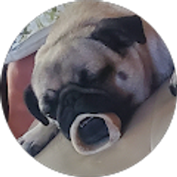 Profile photo of derek nielsen