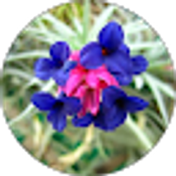 Profile photo of Mary Dole