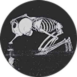 Profile photo of Cassandra Scogin