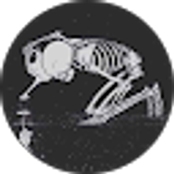 Profile photo of Cassandra Scogin
