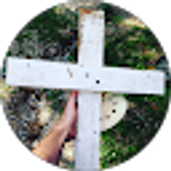 Profile photo of connor Reeves