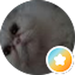 Profile photo of Roberta Doyle