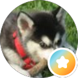 Profile photo of Carissa T