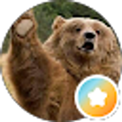 Profile photo of Bear Marquardt