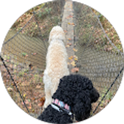 Profile photo of Austin Jones