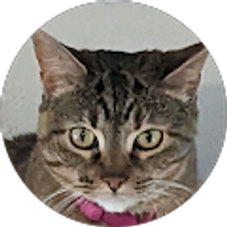 Profile photo of Daniel G