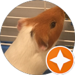 Profile photo of Ariel Smith