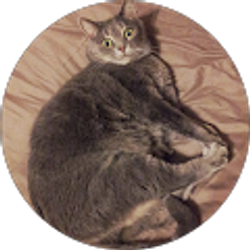 Profile photo of David Slone