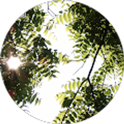 Profile photo of Neva Dodrill