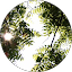 Profile photo of Neva Dodrill