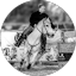 Profile photo of Kelly how