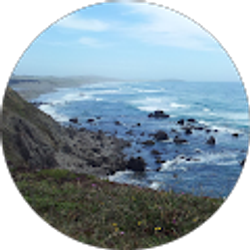 Profile photo of Kimberly McV