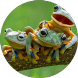 Profile photo of Trisha Thomas