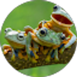 Profile photo of Trisha Thomas