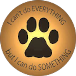 Profile photo of Katlynn Loner