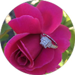 Profile photo of Brittney Krakenberg