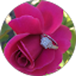 Profile photo of Brittney Krakenberg