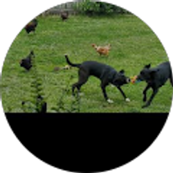 Profile photo of S A