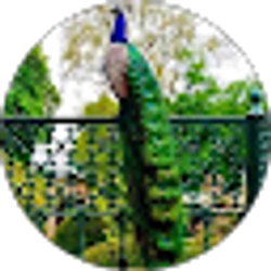 Profile photo of ofreciano portillo