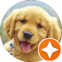 Profile photo of Yeilyn M