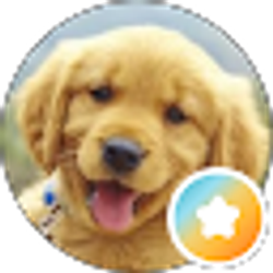 Profile photo of Yeilyn M