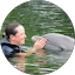 Profile photo of Stacy Gipson