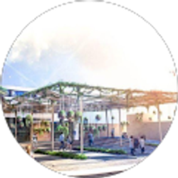 Profile photo of Apollo Sugar