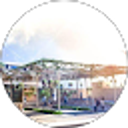 Profile photo of Apollo Sugar
