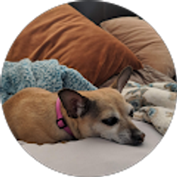 Profile photo of Samantha Goff