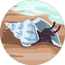 Profile photo of cindy crsockmonkey