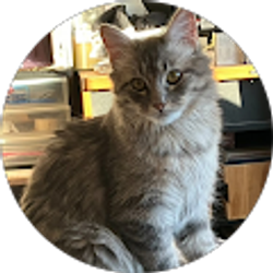 Profile photo of Tonia Brown