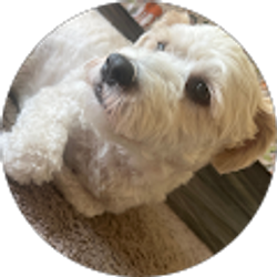 Profile photo of Victor Vasquez